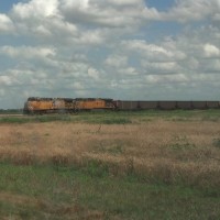 Empty Coal Train