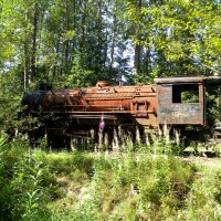 Old 195