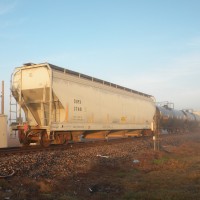 Train in the fog