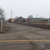 Canton local