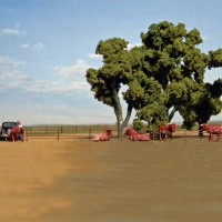 Showdown at the Cattle Guard