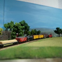 DSC02333