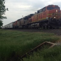 BNSF 4363