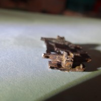 DSC02667_1024x576_