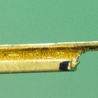 Brass EP-2 Clinic