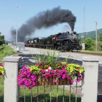 NS 956 with SOU #630 leading in Rockwood, TN