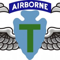 36th Inf Abn Wings -LG