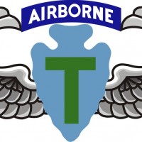 36th Inf Abn Wings -MD