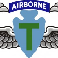 36th Inf Abn Wings -SM