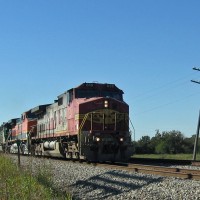 Warbonnet