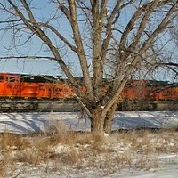 BNSF_1_PIC_1802