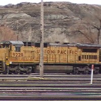 UP_PIC_1841