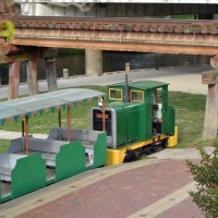 2 foot gauge tourist train