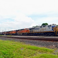 BNSF Empty Grain Train