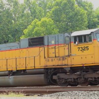 DPP_481