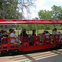 Zoo Train