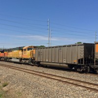 Empty coal train