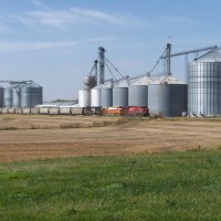 NS Grain Train 54W(IAIS train DMPE-12)