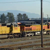 Surrey Yard