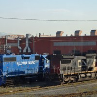 Surrey Yard