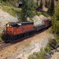 IMG_2585