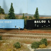 BL Woodchip 4