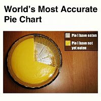 Accurate Pie Chart