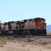 IMG_2022