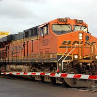 DSC_0290 (2)