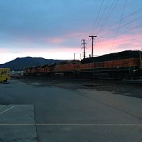 IMG_3139