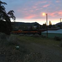 IMG_3140