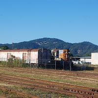 DSC_0023 (2)