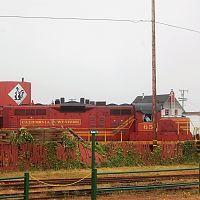 DSC_0110 (2)