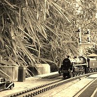 Dorking Garden Railway