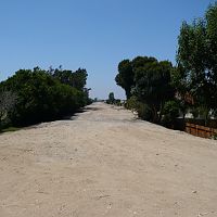 SP Bridge 7