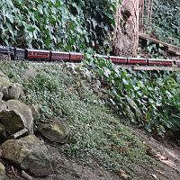 Class 9F loco on the Dorking Garden Railway