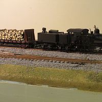 Bachmann 3 truck Shay pulling pulpwood train