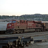 CP 8873