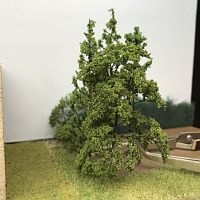 IMG_3216