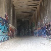 DSC_0180 (4)