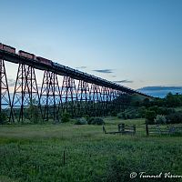 "Blue Hour Over Gassman"