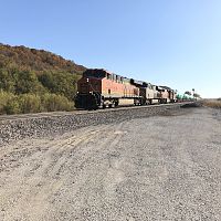 IMG_5512