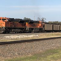 IMG_5522