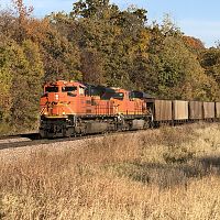IMG_5538