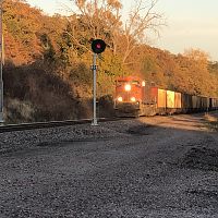 IMG_5582