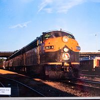 IMG_8886