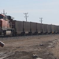 Gargantuan Coal-1