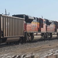 Gargantuan Coal-3
