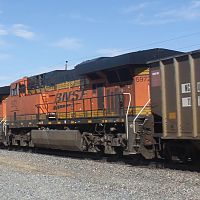 Gargantuan Coal-4