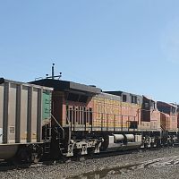 Gargantuan Coal-5